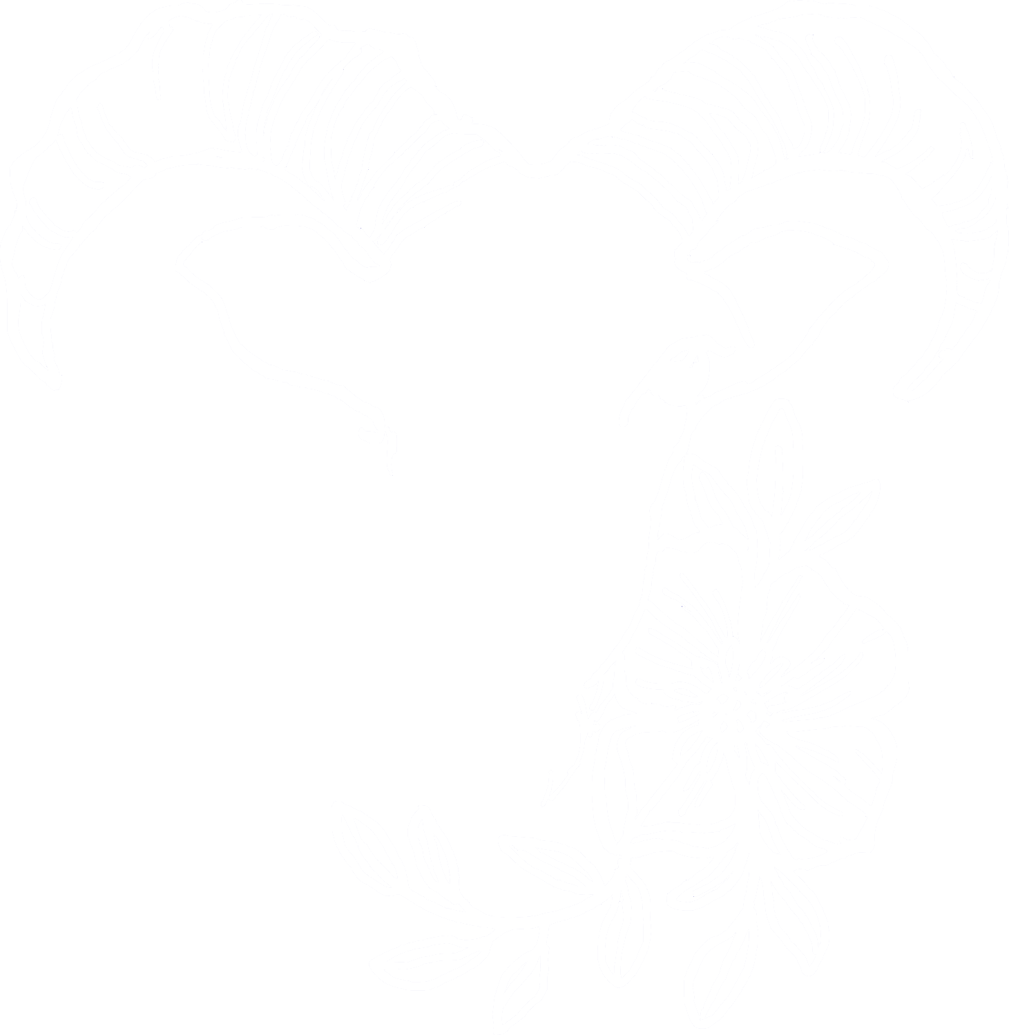 Capricorn