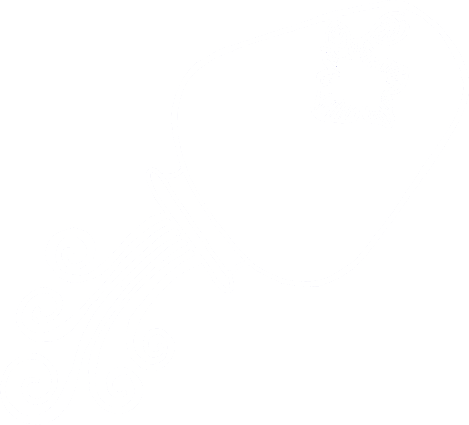 Aquarius