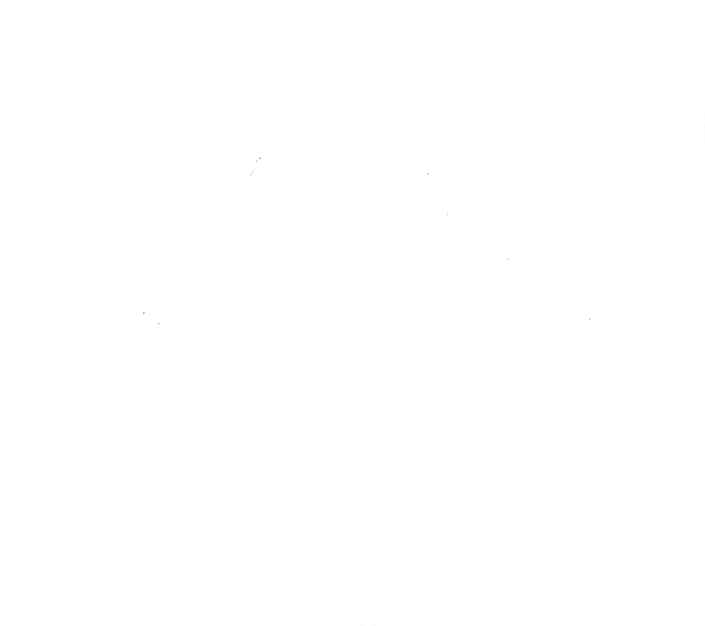 Taurus